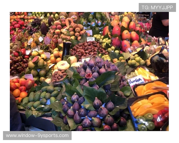 赫罗纳俱乐部赛季冲刺引援与战术调整深度解析及未来布局动态